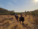 pony camp img001