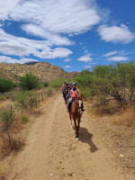 pony camp img003