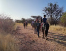 pony camp img004