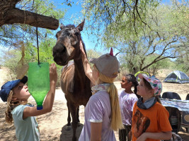 pony camp img005