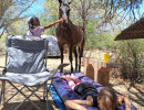 pony camp img006