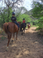pony camp img009