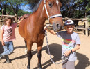 pony camp img015
