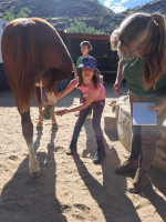 pony camp img016