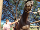 pony camp img018