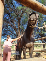 pony camp img018