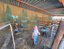 pony camp img019