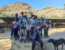 pony camp img021