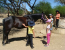 pony camp img024