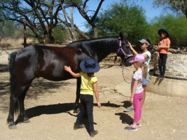 pony camp img024