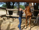 pony camp img025