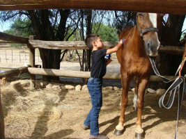 pony camp img025