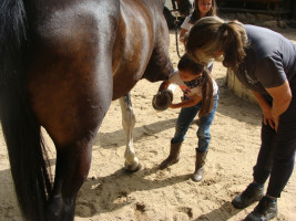 pony camp img026