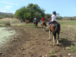pony camp img031