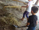 pony camp img033