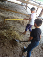pony camp img033