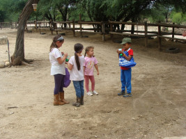 pony camp img034