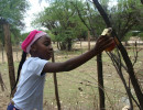 pony camp img038