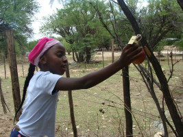 pony camp img038