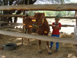 pony camp img039