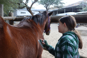 pony camp img041