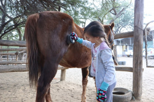 pony camp img042