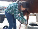 pony camp img043