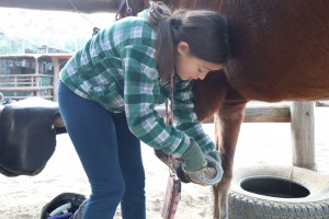 pony camp img043
