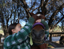 pony camp img044