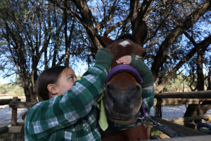 pony camp img044