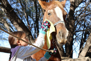 pony camp img045
