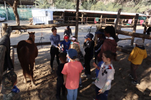 pony camp img046