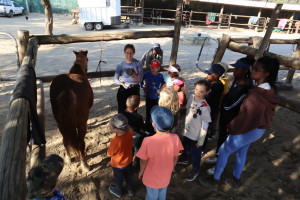 pony camp img047