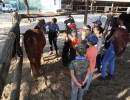 pony camp img048