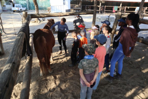 pony camp img048