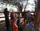 pony camp img050