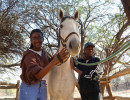 pony camp img051