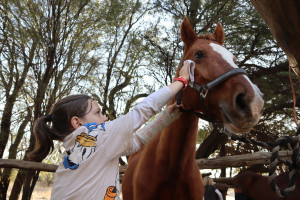 pony camp img053