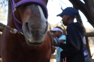 pony camp img054