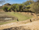 pony camp img058
