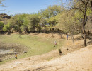 pony camp img059