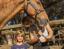 pony camp img066