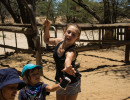 pony camp img075