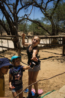 pony camp img075