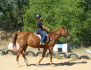 lessons img004