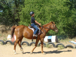 lessons img004