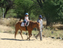 lessons img005