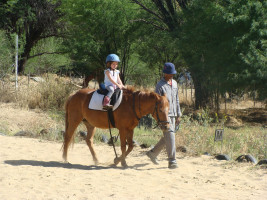 lessons img005
