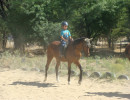 lessons img006
