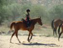 lessons img007